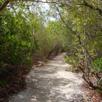 Renaissance Aruba Nature Walk