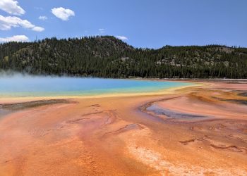 Best Places To See Wildlife In Yellowstone National Park (& Things To Do)